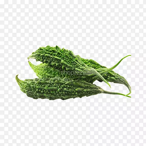 ����߲˺�«ˮ��ʳƷ�߲�-������