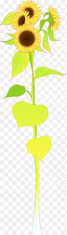 ��ͨ���տ����Ӽ�����-���տ�-������