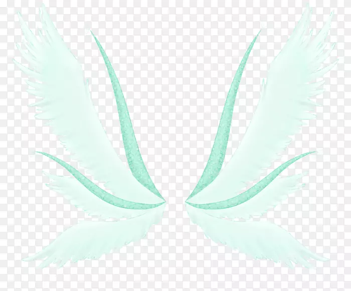 �����ֽ������д�������-������