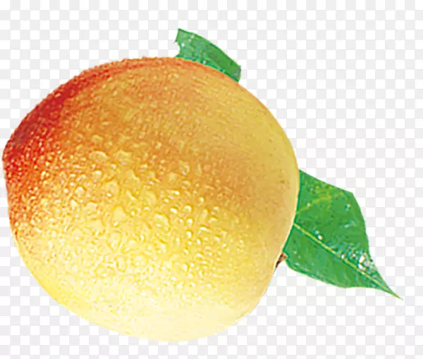 Ѫ������������-������