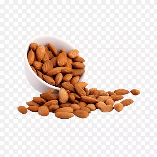 ���������������ʻ���-����-������