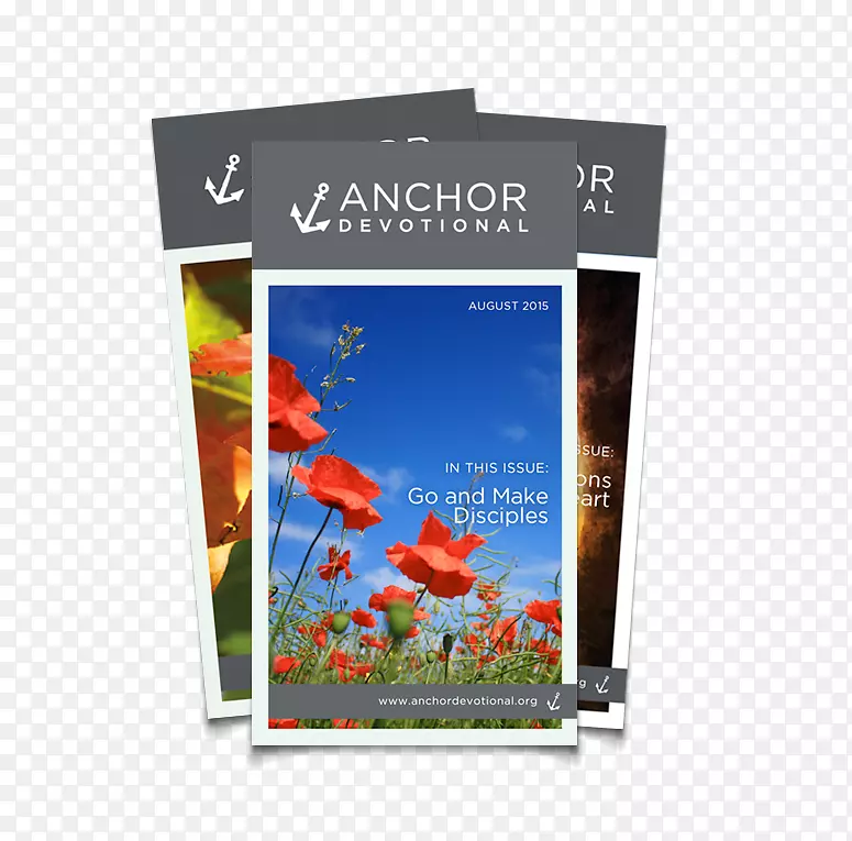 ��Ӱֽ�����Ӱ-������