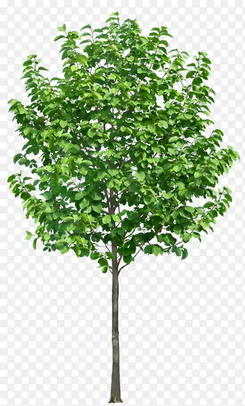 ��-��-������