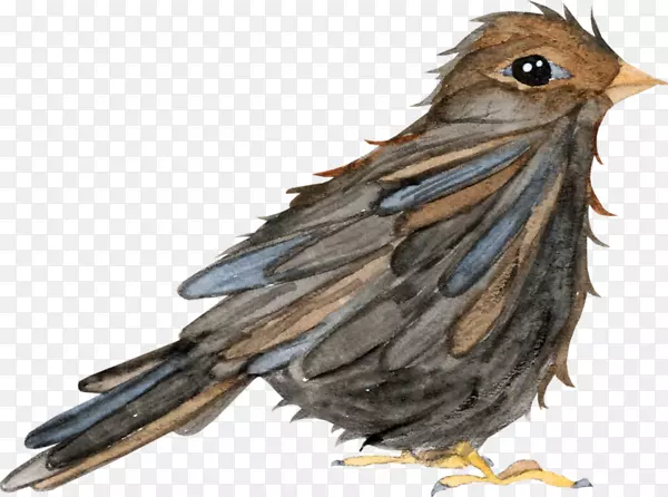 �ȸ��ë-������