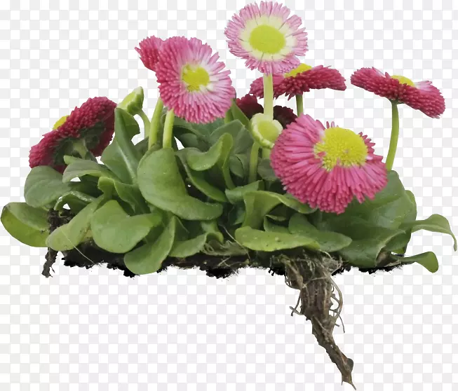 ��������л��ջ�����-�ջ�-������