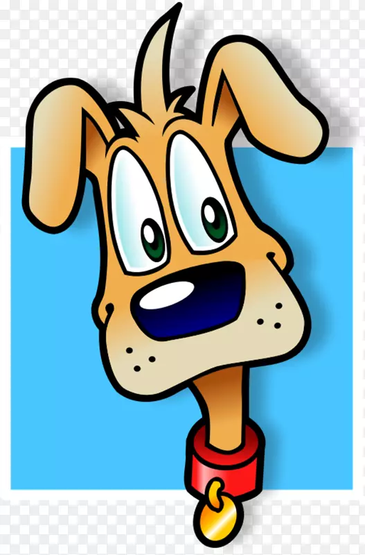 ��С��è���������-��-������