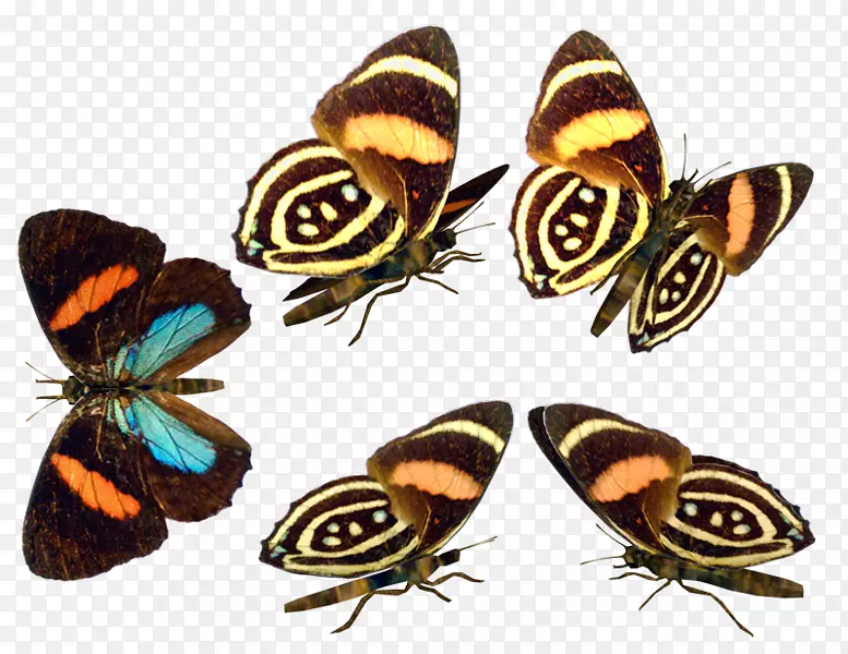 ���������-������