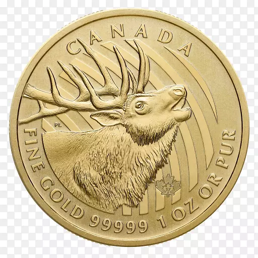 ���ô�ʼ����ҽ��-���ô�-������