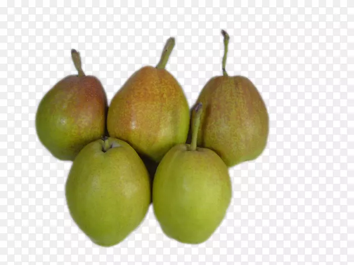 ������xd 7����-��ζ��-������