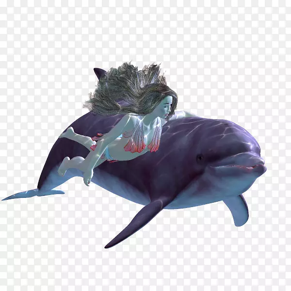 ���಩���㰲����-����-������