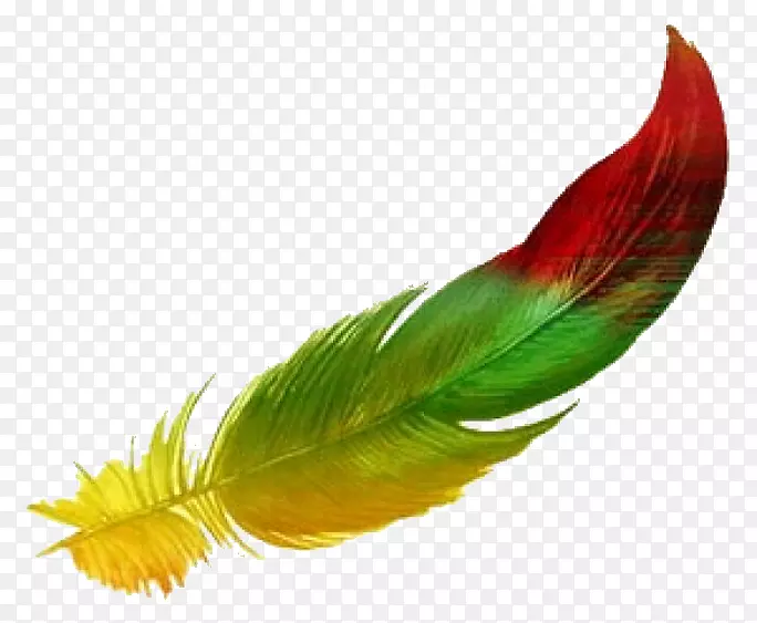 ������ë��ˮ�ʻ���������ë-������