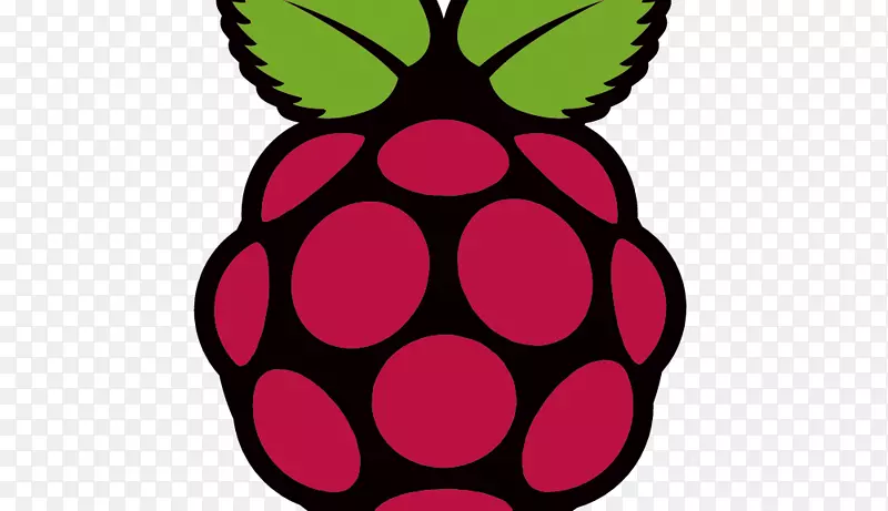 raspberry pi�����������װ-������