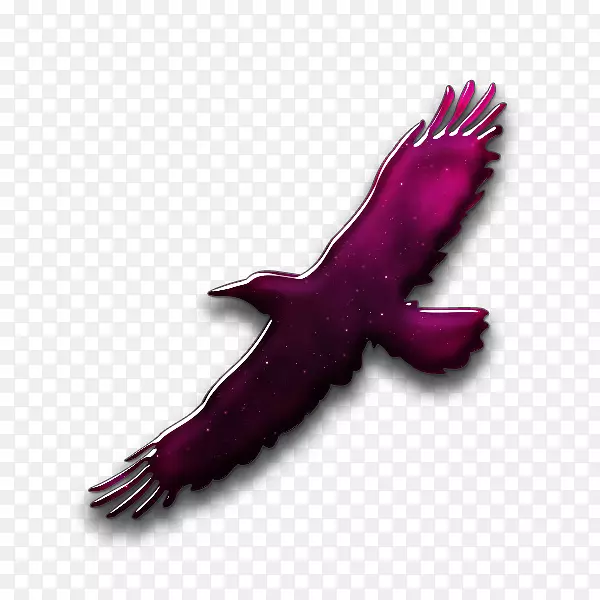 �������ż����ͼ��-��-������