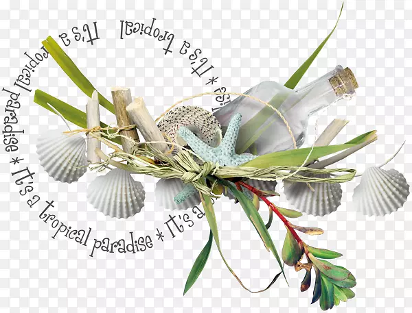 ɳ̲������-��-������