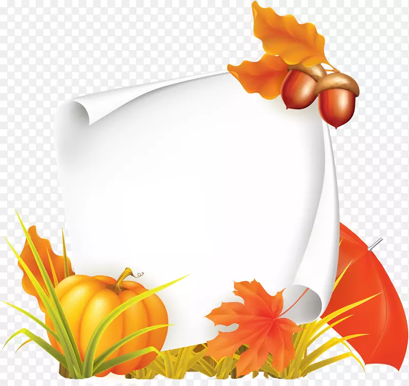 ����������-����-������