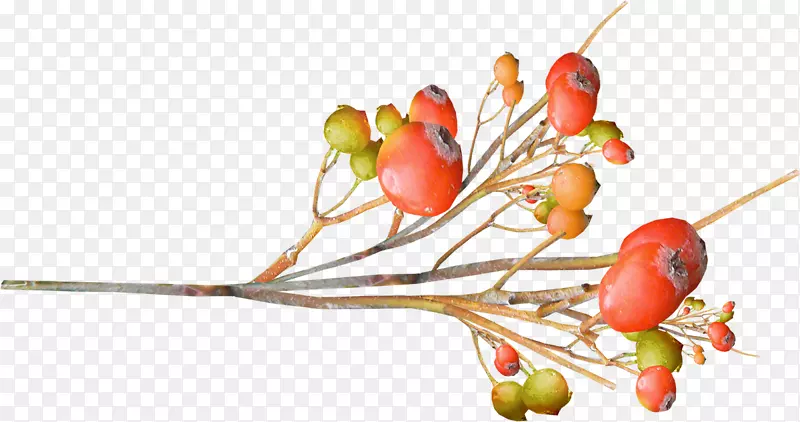 õ�������羰�����ն�ȹ-������