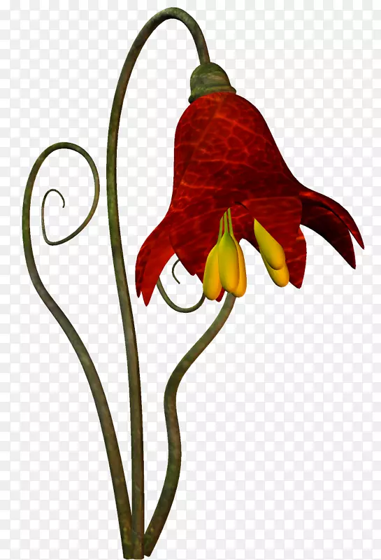 �ҹ���ͯ��-ͯ������-������