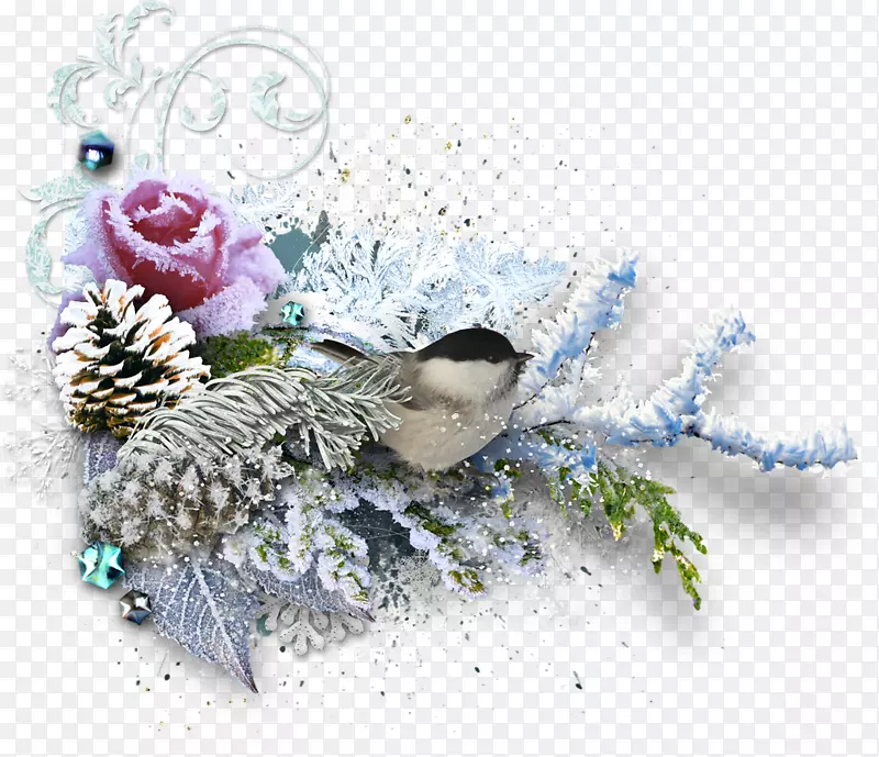 ����������Ӱ-����-������