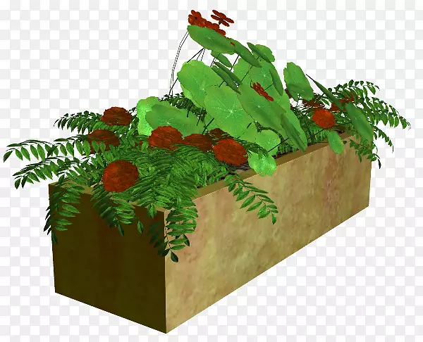 ˮ�ʻ�ֲ�ﻨ�軭-������