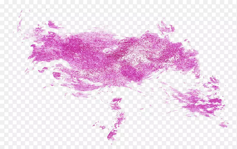 ˮ�ʻ�ˮī��-������