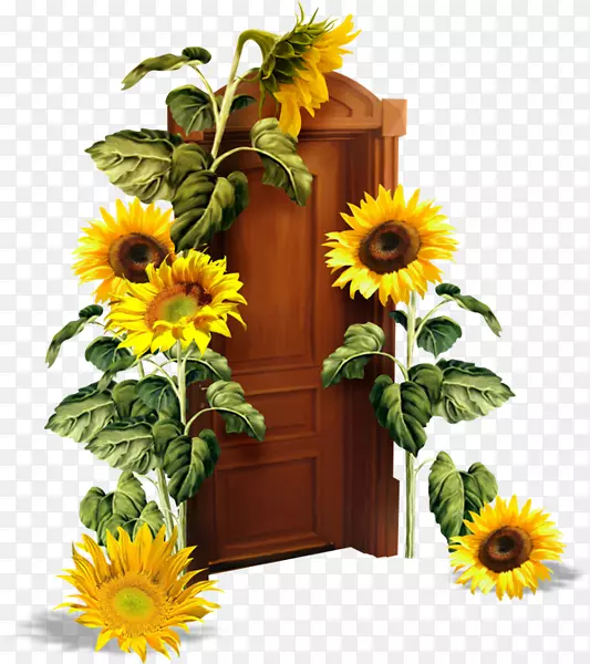 ����������-����-������