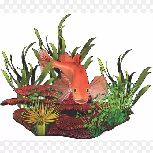 ����������-����-������