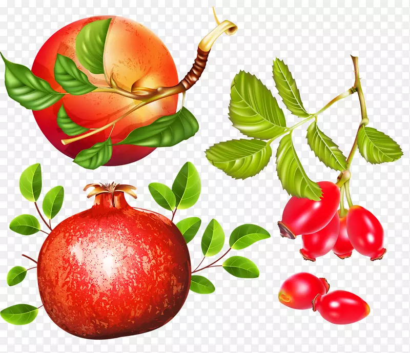 ƻ��ҩ��ʯ��-ƻ��ʯ��-������