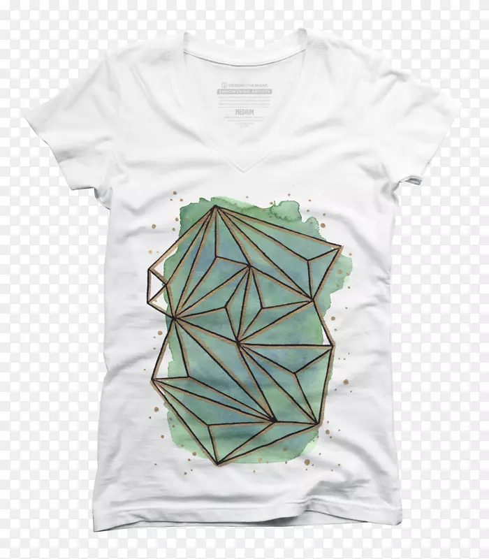 t��ñ����Ͳ����-������