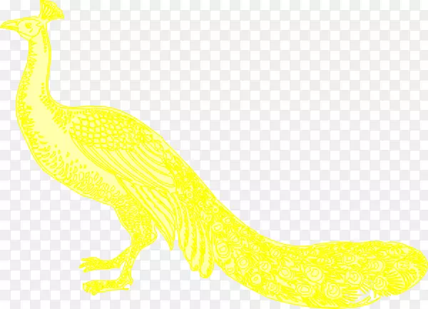 ����ͼ�������-������