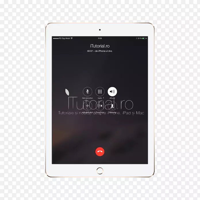 ���Ӳ�Ʒ��ý��-������