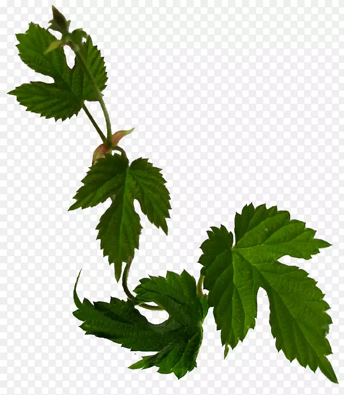 �߻�����������-����-������