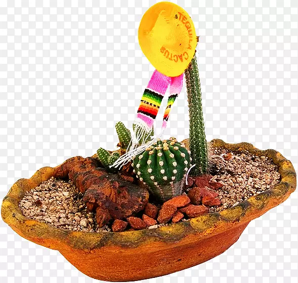 �����ƿ��辰������-������