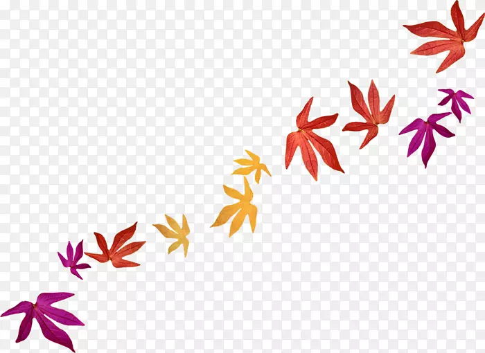 �������������Ҷ������-Ҷ-������