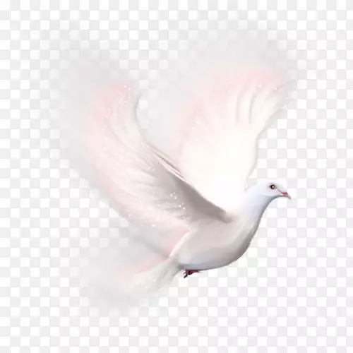 ����΢��ͼƬ�༭��-����-������