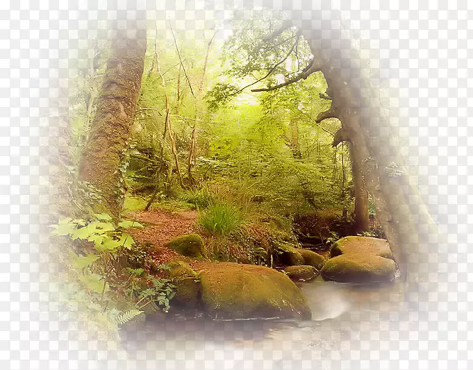 ��������-����-������