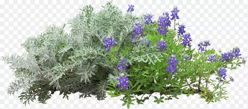 ����-��-������