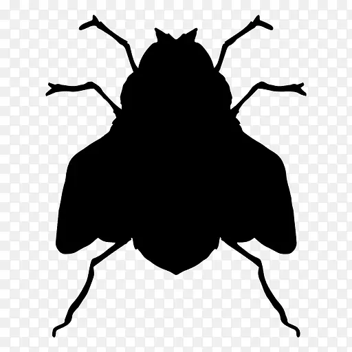 ��Ӭ��Ӱ���������-��Ӭ-������