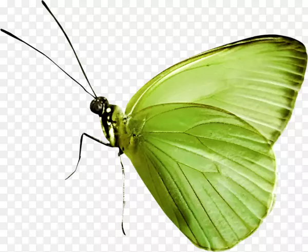 �������������-����-������