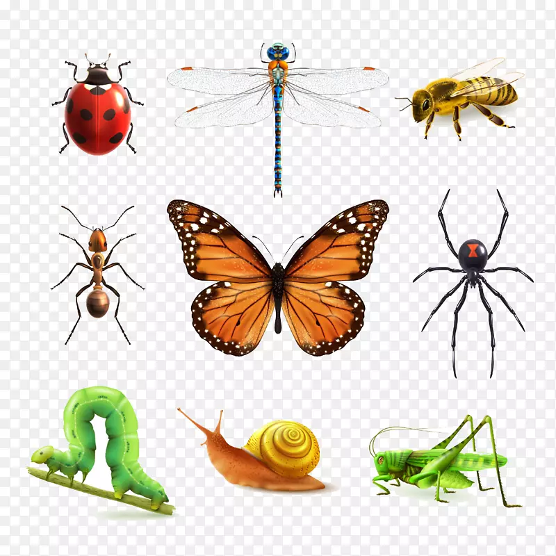 �����ͼ-��������-������