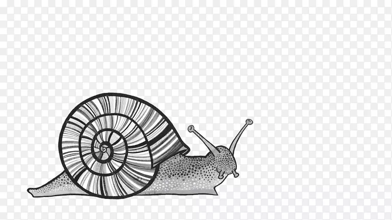 С�����飺��2��(��ǿ��)ͼ��-���̲��ε���ţ-������