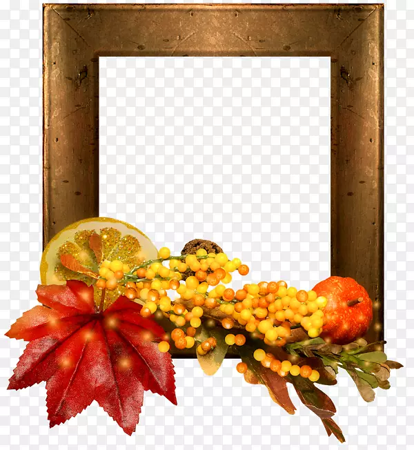 �����Ҷ����-����-������