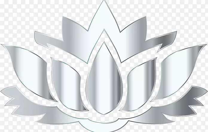 Nelumbo nucifera�������ֽ������-��-������