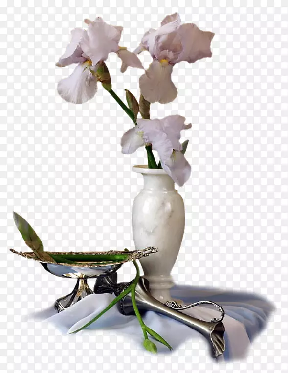 ��ƿ����������������-��ƿ-������