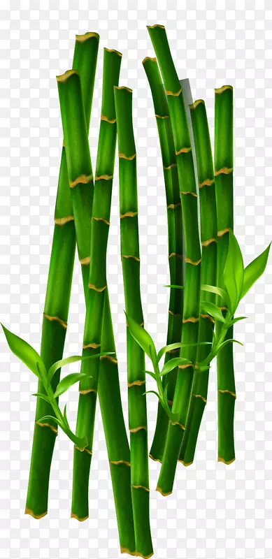 ����-����-������