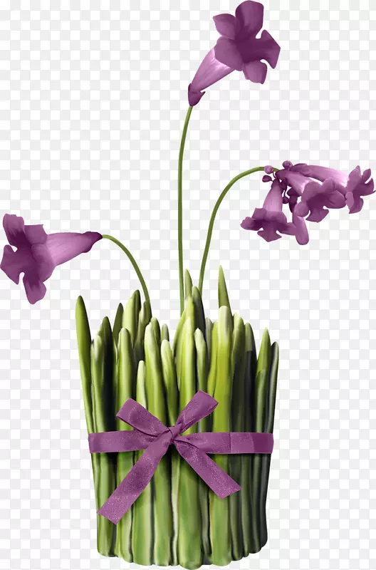 ���������������-��-������