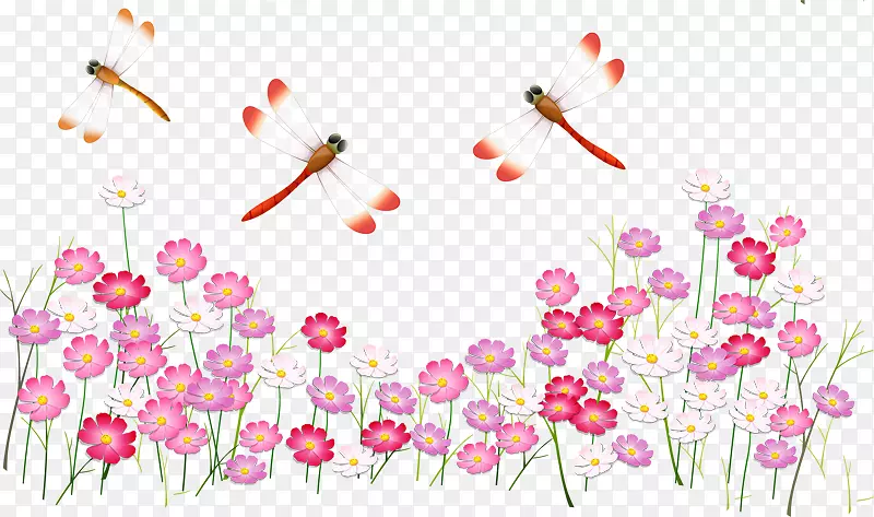 ��Ӱ������-������