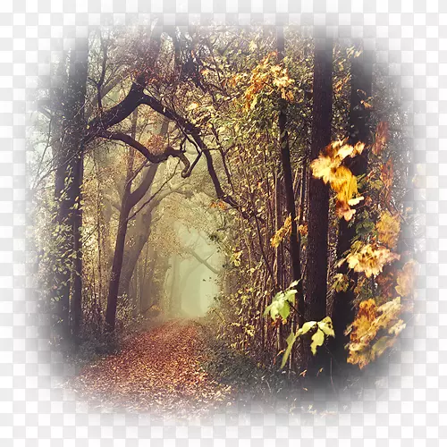 ��Ȼ��Ӱ�羰��Ӱ-��Ӱʦ-������