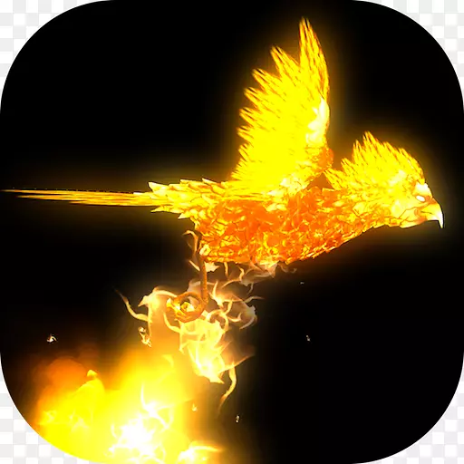 ��˳�����������������������˰�׿-��������ķ���-������