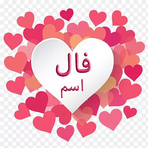 ��ֽ������-������