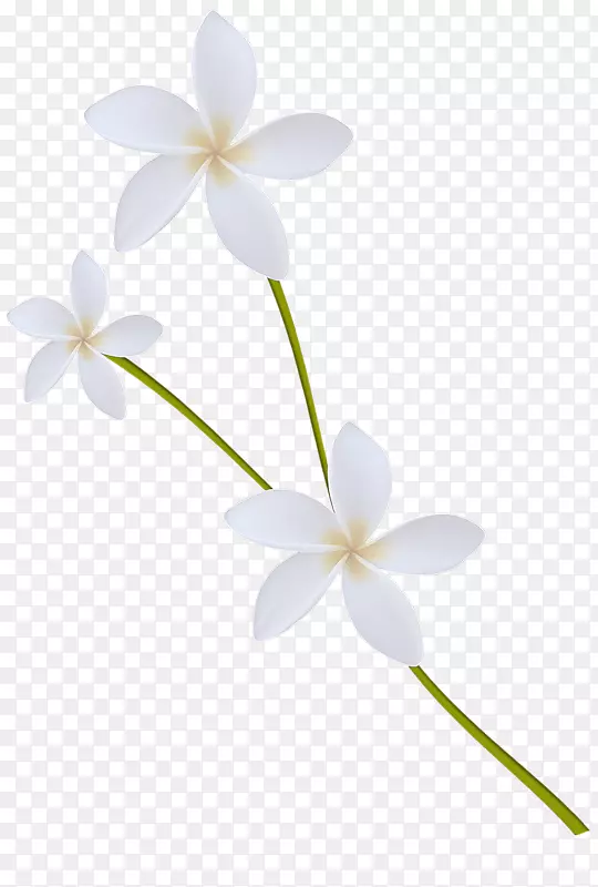 ��������Ӱ������-��-������